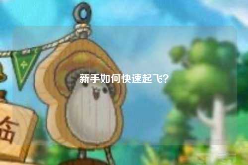 新手如何快速起飛？