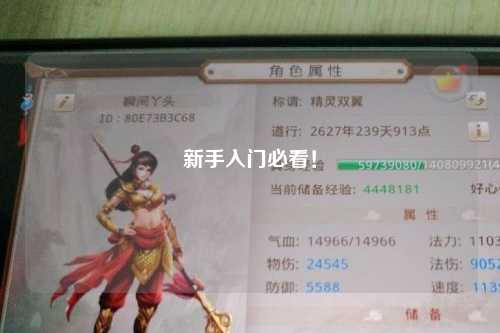 新手入門必看！