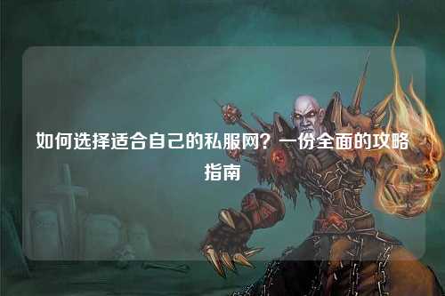 如何選擇適合自己的私服網(wǎng)？一份全面的攻略指南