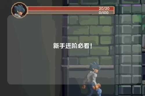 新手進(jìn)階必看！