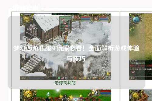 夢(mèng)幻西游私服SF玩家必看！全面解析游戲體驗(yàn)與技巧