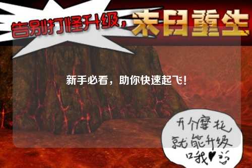 新手必看，助你快速起飛！