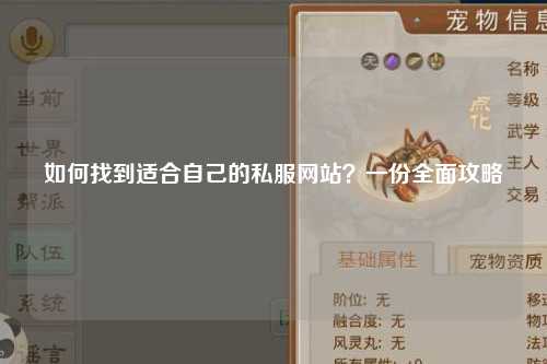 如何找到適合自己的私服網(wǎng)站？一份全面攻略