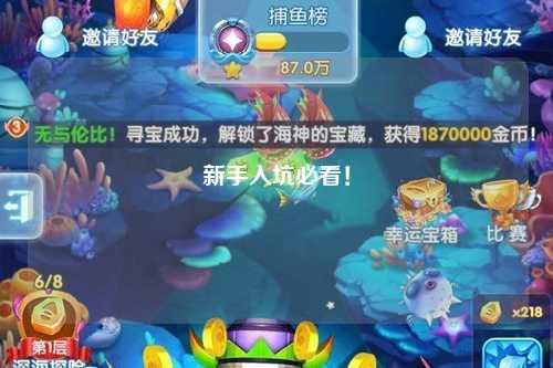 新手入坑必看！