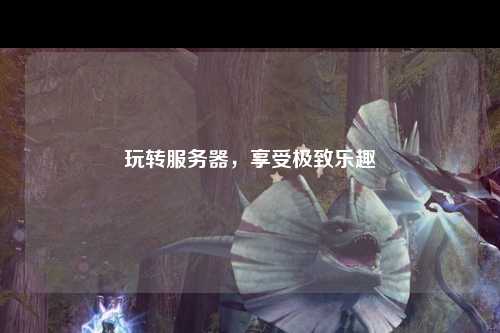 玩轉(zhuǎn)服務(wù)器，享受極致樂(lè)趣