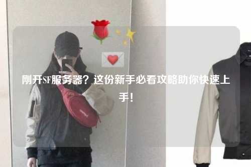 剛開SF服務(wù)器？這份新手必看攻略助你快速上手！