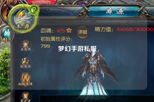 夢幻手游私服