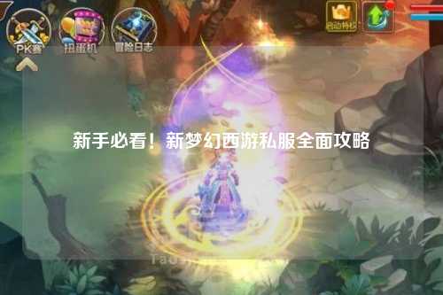 新手必看！新夢(mèng)幻西游私服全面攻略