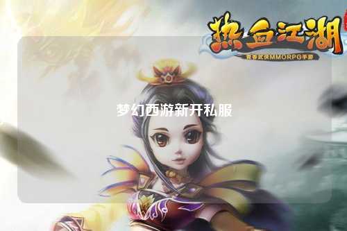 夢(mèng)幻西游新開私服