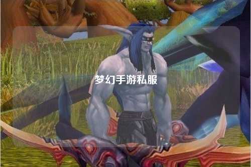 夢(mèng)幻手游私服